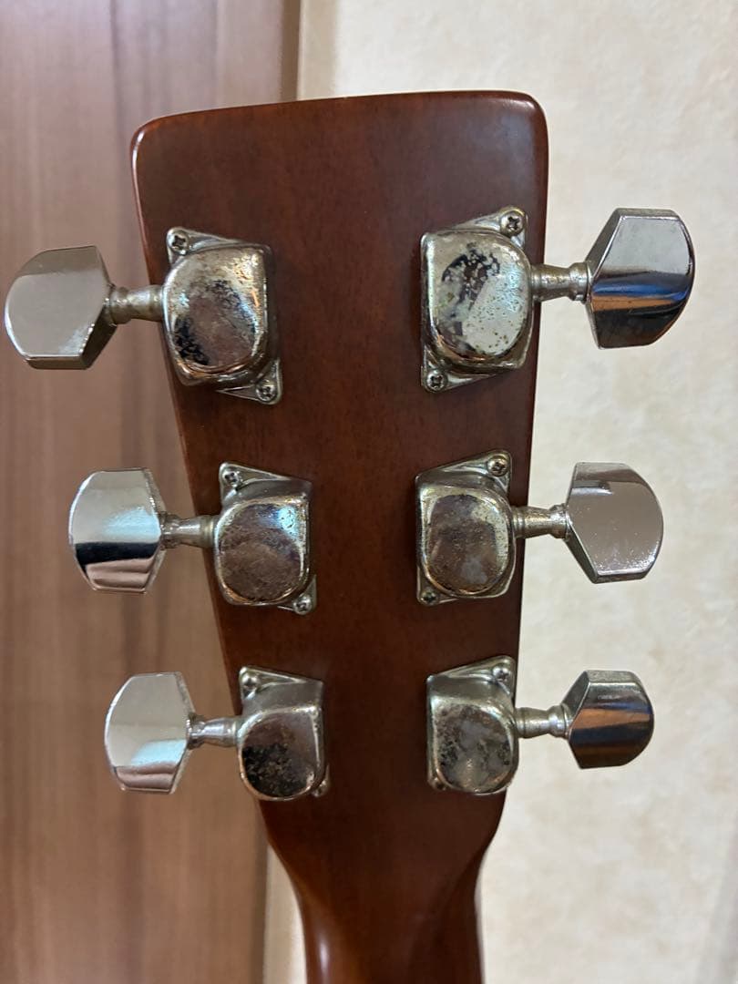 ProMartin w-200 縦ロゴ　アコースティックギター