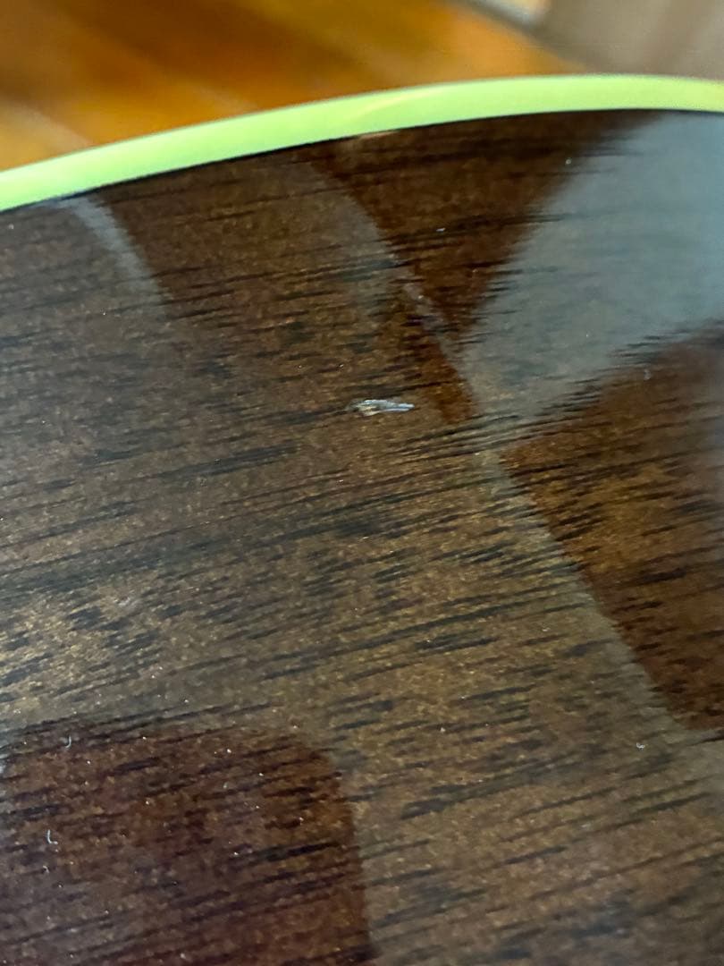 ProMartin w-200 縦ロゴ　アコースティックギター