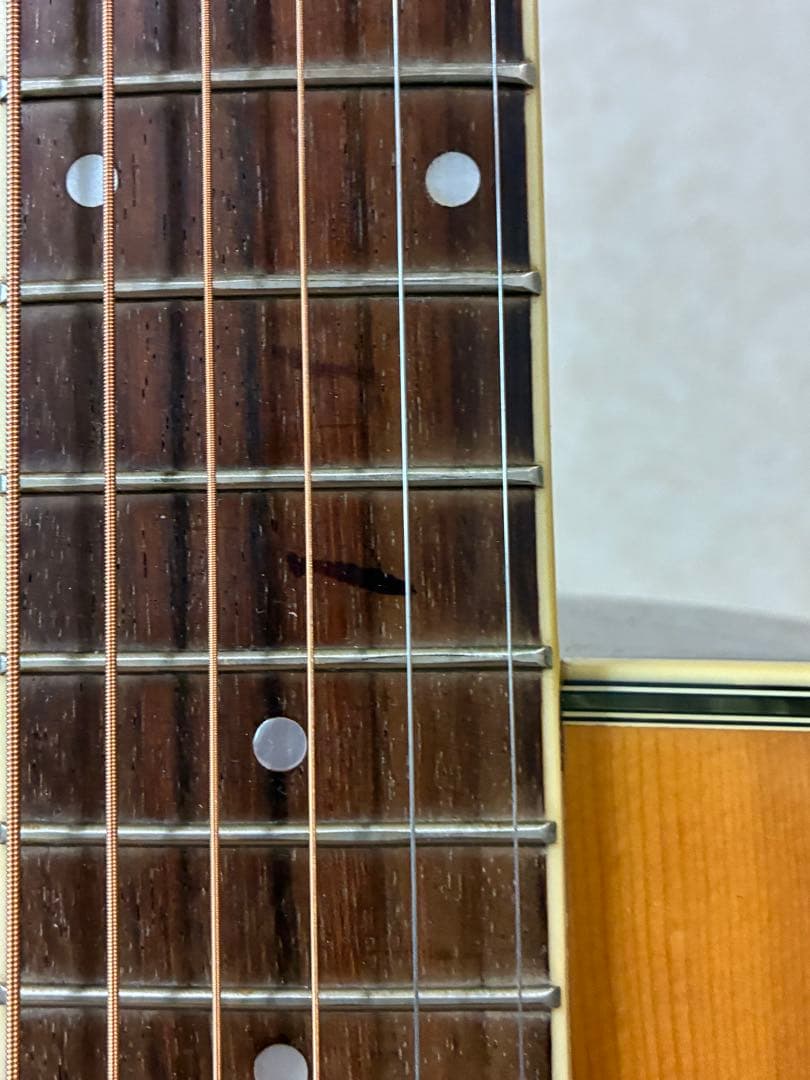 ProMartin w-200 縦ロゴ　アコースティックギター