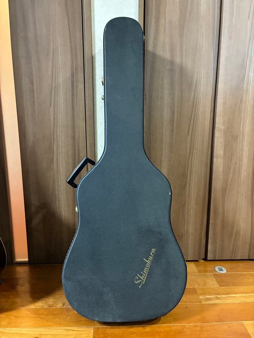 ProMartin w-200 縦ロゴ　アコースティックギター