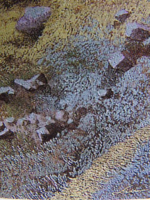 田中芳照、仙桜雨景、希少な画集より、新品高級額、額装付、状態良好