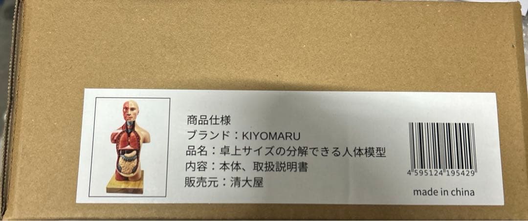 KIYOMARU ソフトな質感で15分解できる卓上サイズの人体解剖模型