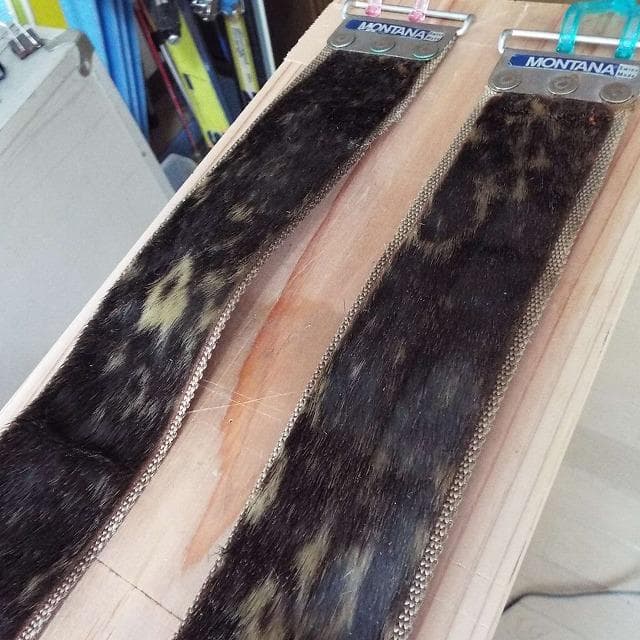 超希少_美品_アザラシ本革シール_山スキー用_補強有