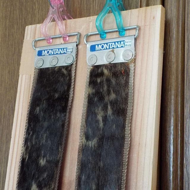 超希少_美品_アザラシ本革シール_山スキー用_補強有