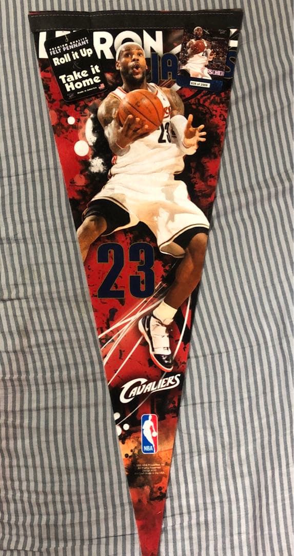 NBA LeBron James タペストリー