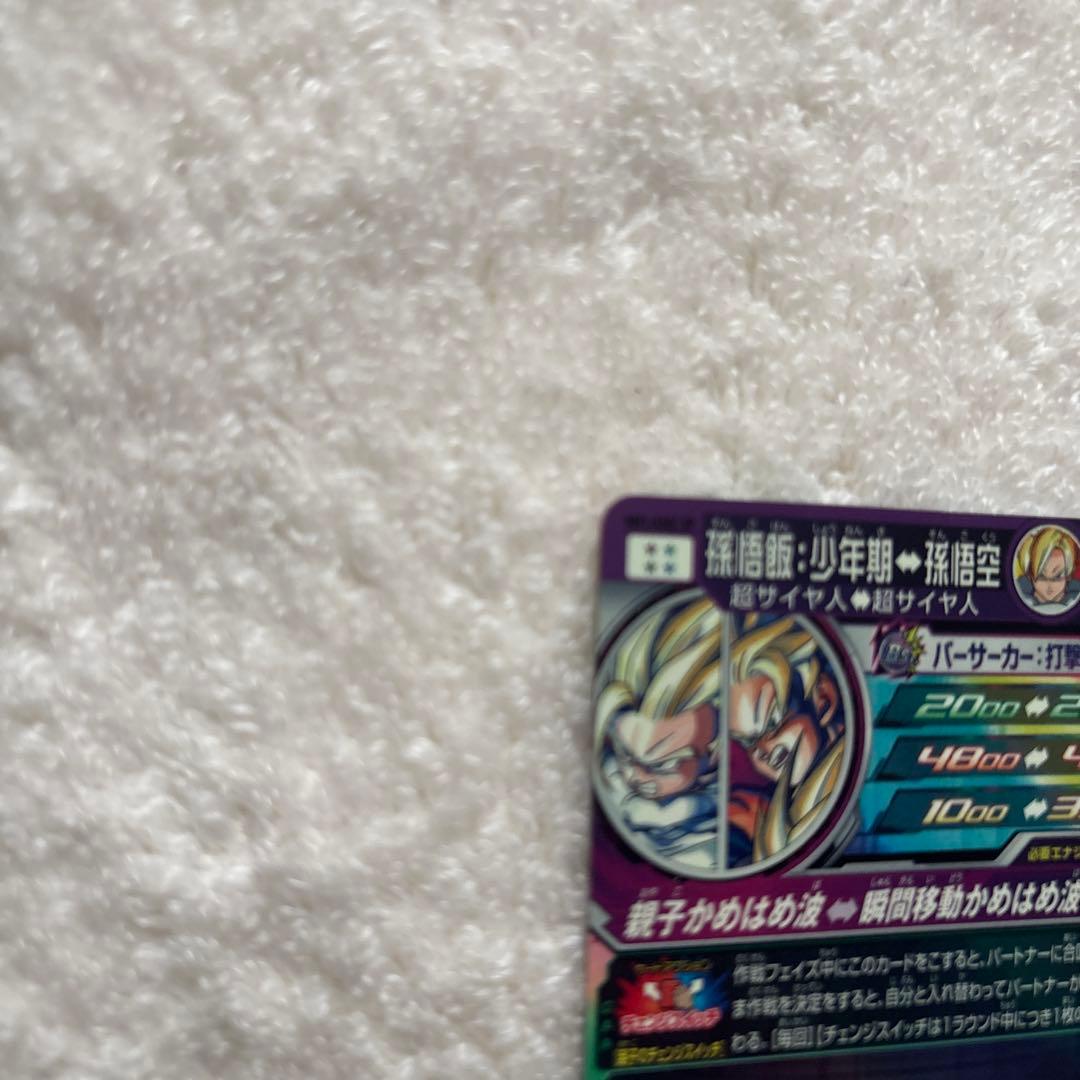 Sleeping-forest スーパードラゴンボールヒーローズ MM1