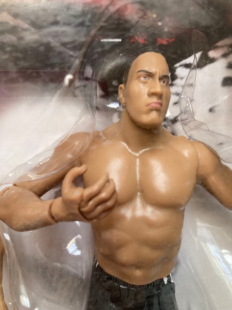 ハリウッド・ハルク・ホーガン× ザ・ロック　WWEスーパースターフィギュア