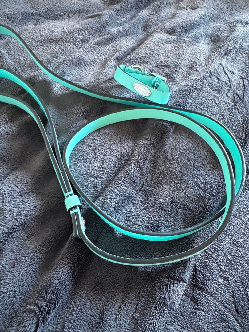 Tiffany & Co. ティファニー 首輪 カラー リード　セット　犬　XS