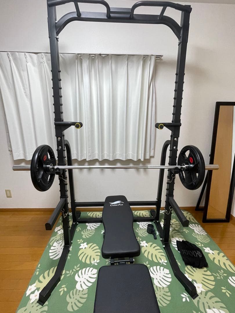 ハーフラック ベンチプレス BIG3 オリンピックバーベルシャフト チンニング