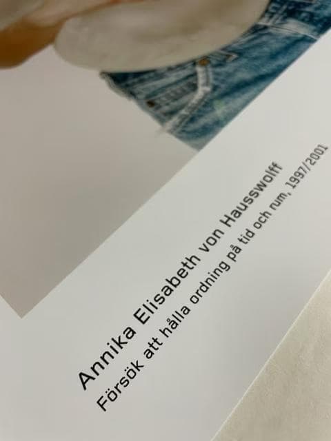 Attempting to Deal/アニカエリザベス/ポスター/インテリア