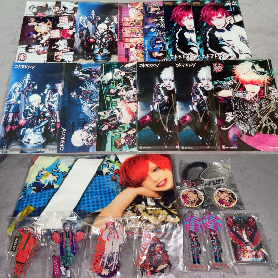 コドモドラゴン ハヤト セット