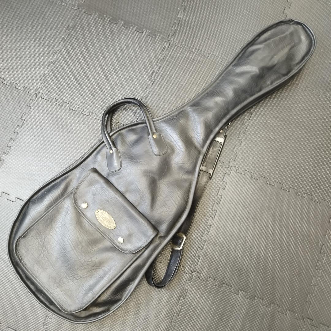 MELLOW TONE 　ビザール　ギター 　TEISCO テスコ WG-2L