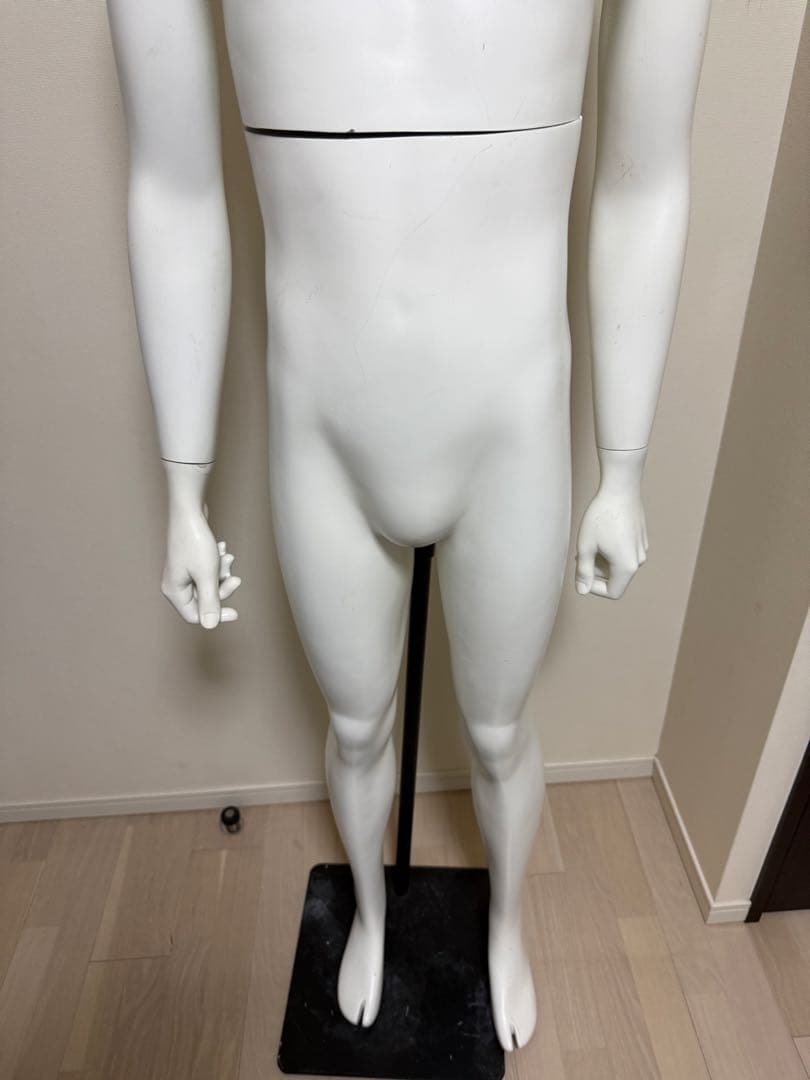 パールイデア　男性　全身トルソー　マネキン　白　高さ調整可能　ディスプレイ