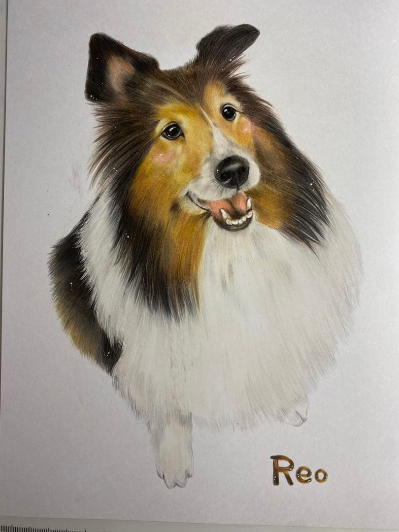 ペットの似顔絵オーダー　シェルティ