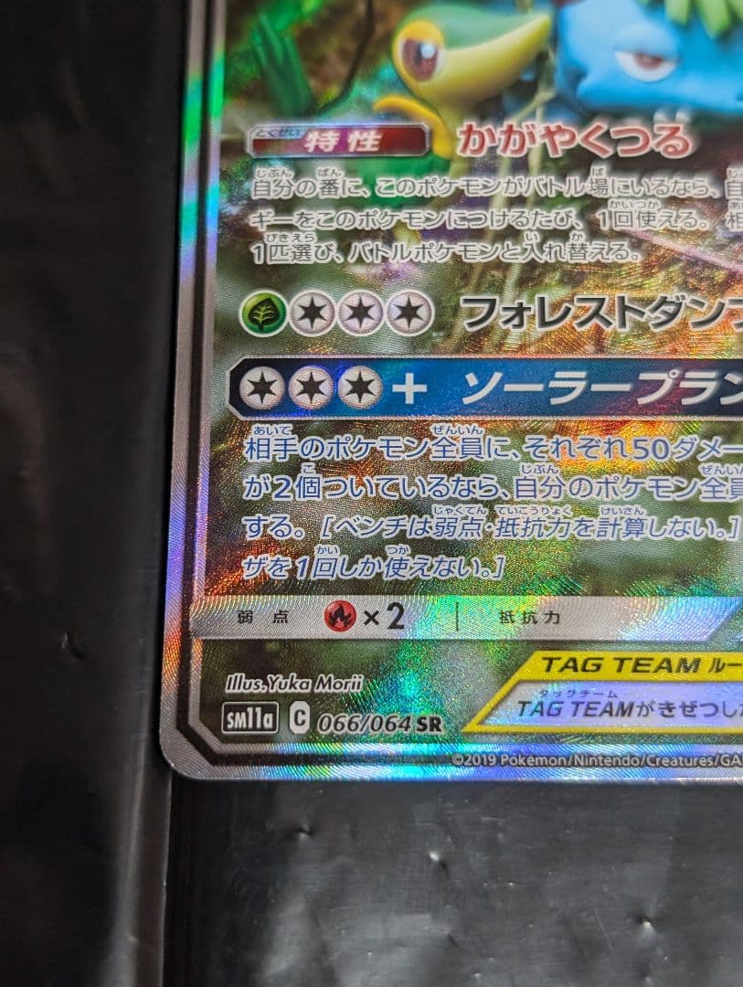 フシギバナ＆ツタージャGX(SA)【SR】{066/064}