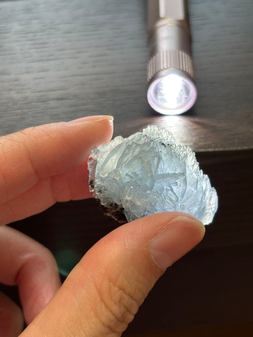 ブルーバライト