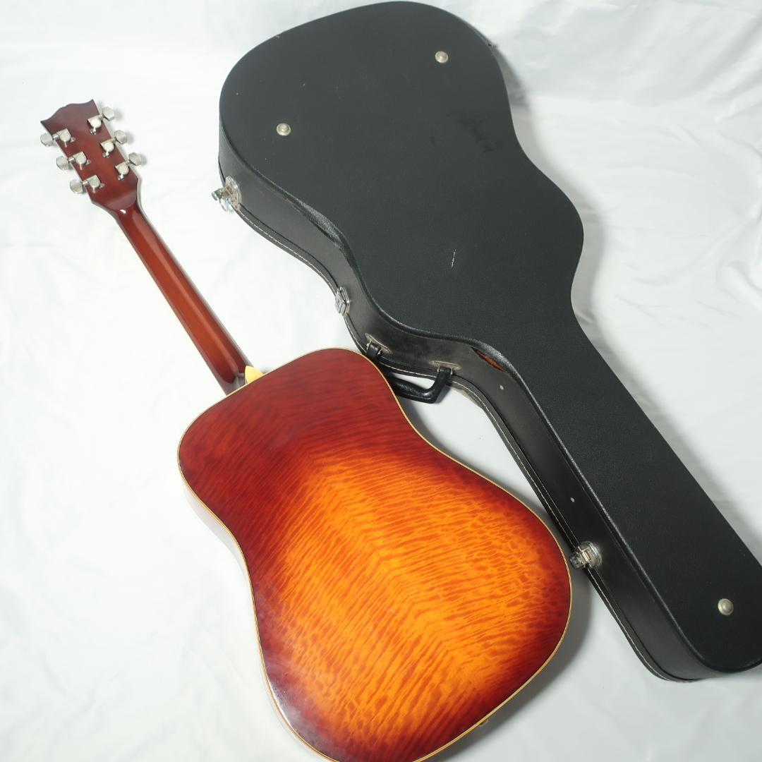 JAGARD TB-350 ギター ハミングバードDOVEタイプ ハードケース付