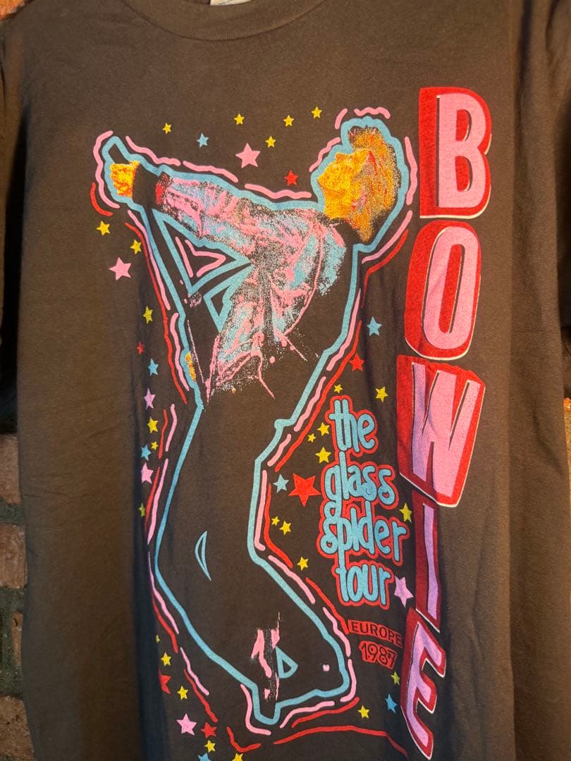 David BOWIE デイビッドボウイ ヴィンテージTシャツ 1987 80s