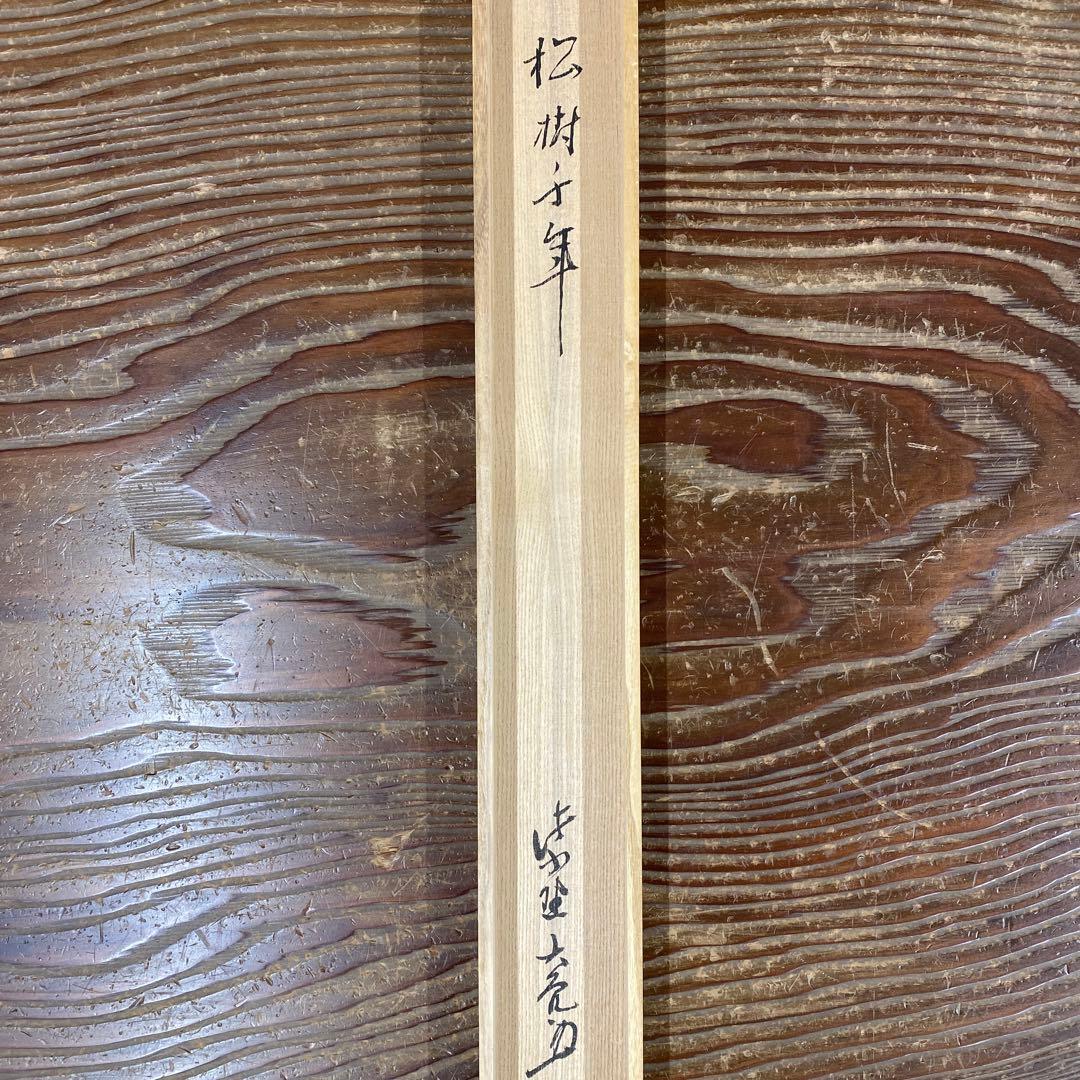 美品 掛け軸 立花大亀作「松樹千年」大徳寺 共箱 禅語 茶掛け 縁起物