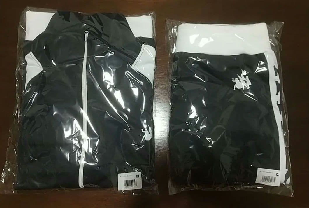 匿名発送 ずっと真夜中でいいのに。 しょがスト ピンズ ピンバッジ 2種類