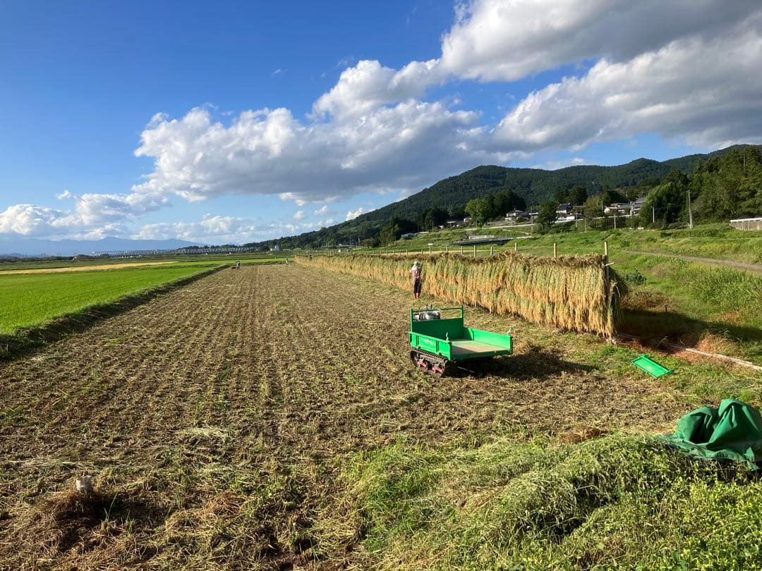 【R7年10月2日刈取り】無農薬稲わら 【有機栽培約14kg】岩手県一関市発