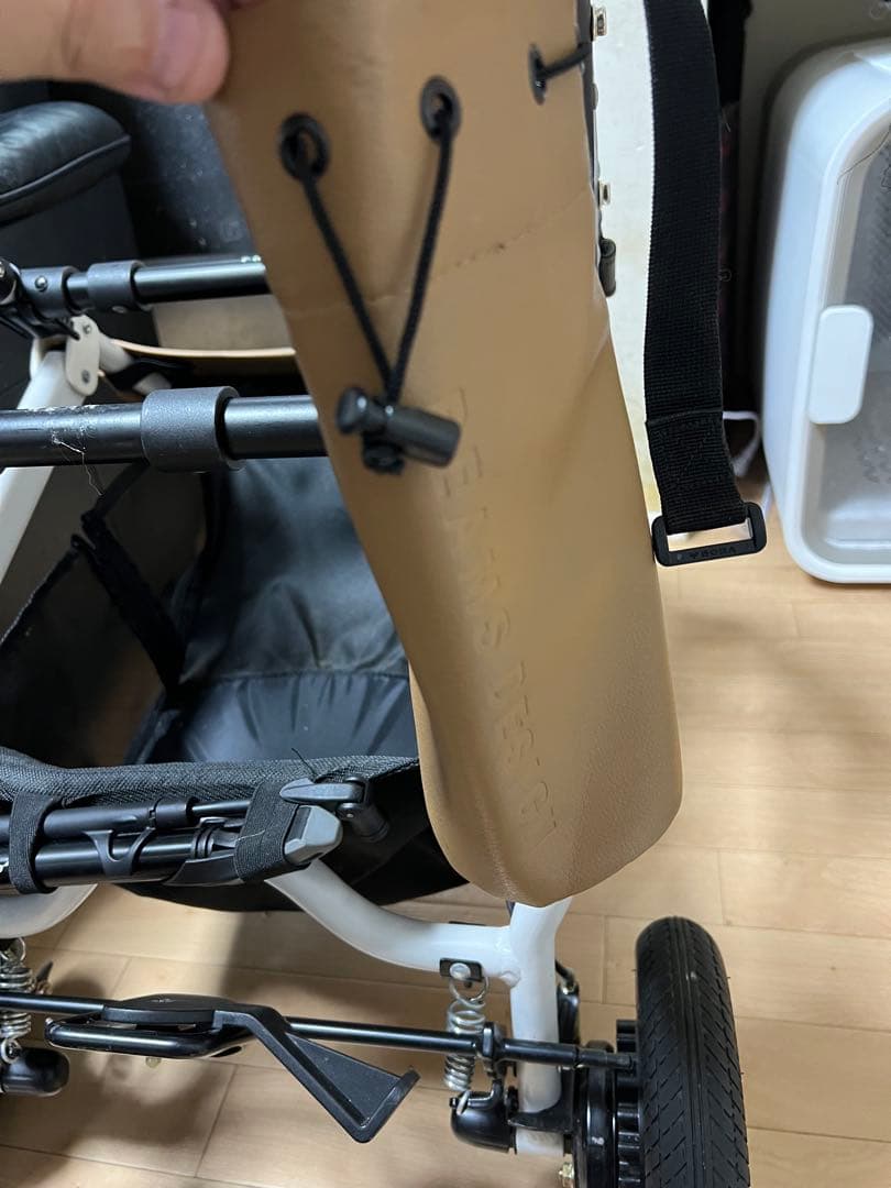 エアバギー ドーム3 ラージ dome3 ビームス別注 豪華おまけ付き