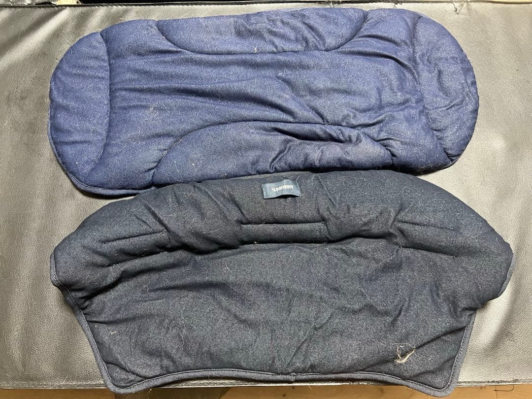 エアバギー ドーム3 ラージ dome3 ビームス別注 豪華おまけ付き