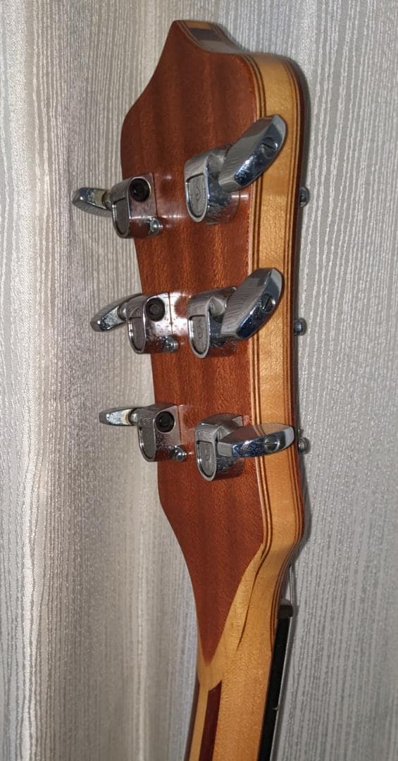 Alembic アレンビック ディスタレイト ギター 1981年製