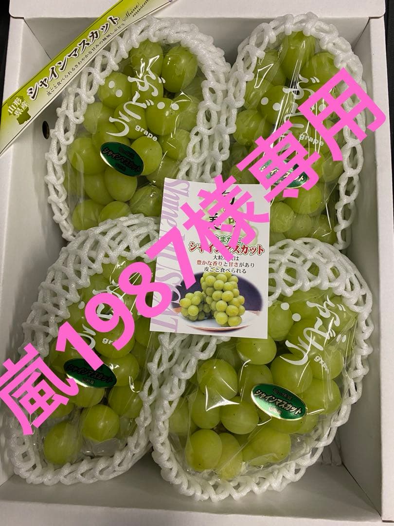 嵐1987 山形県産　美品シャインマスカットと極甘スチューベン
