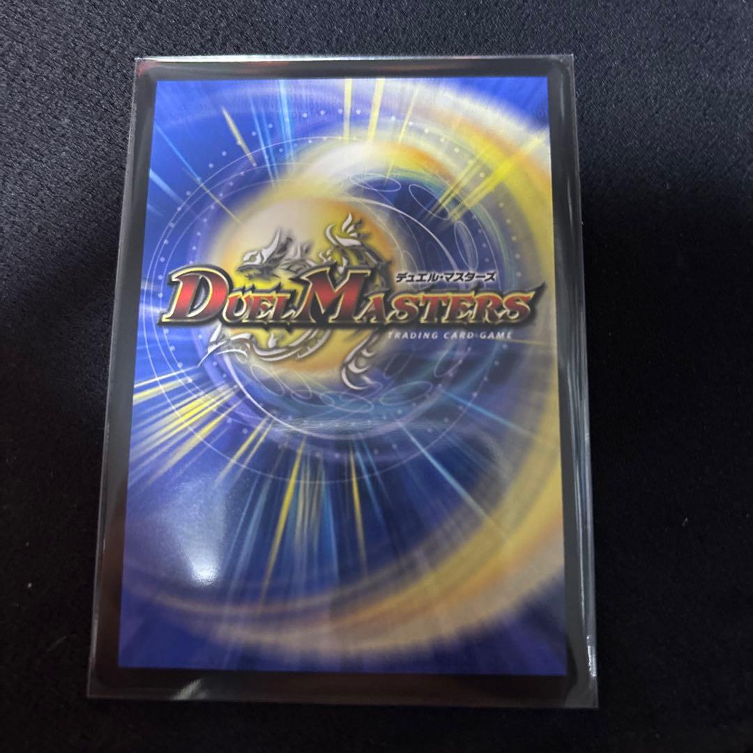 聖霊龍王メルヴェイユ サイン　シークレット