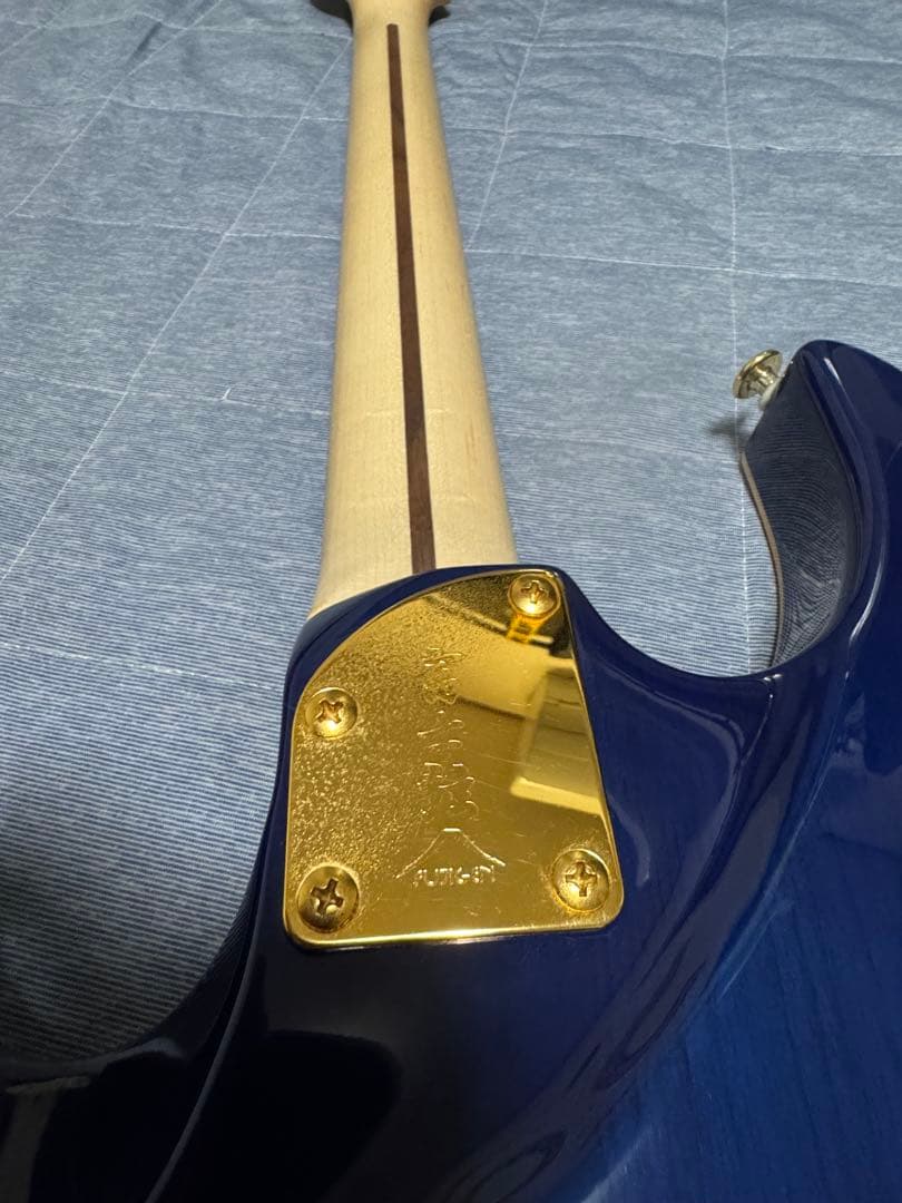 ギター (Fujigen) Expert OS(EOS)