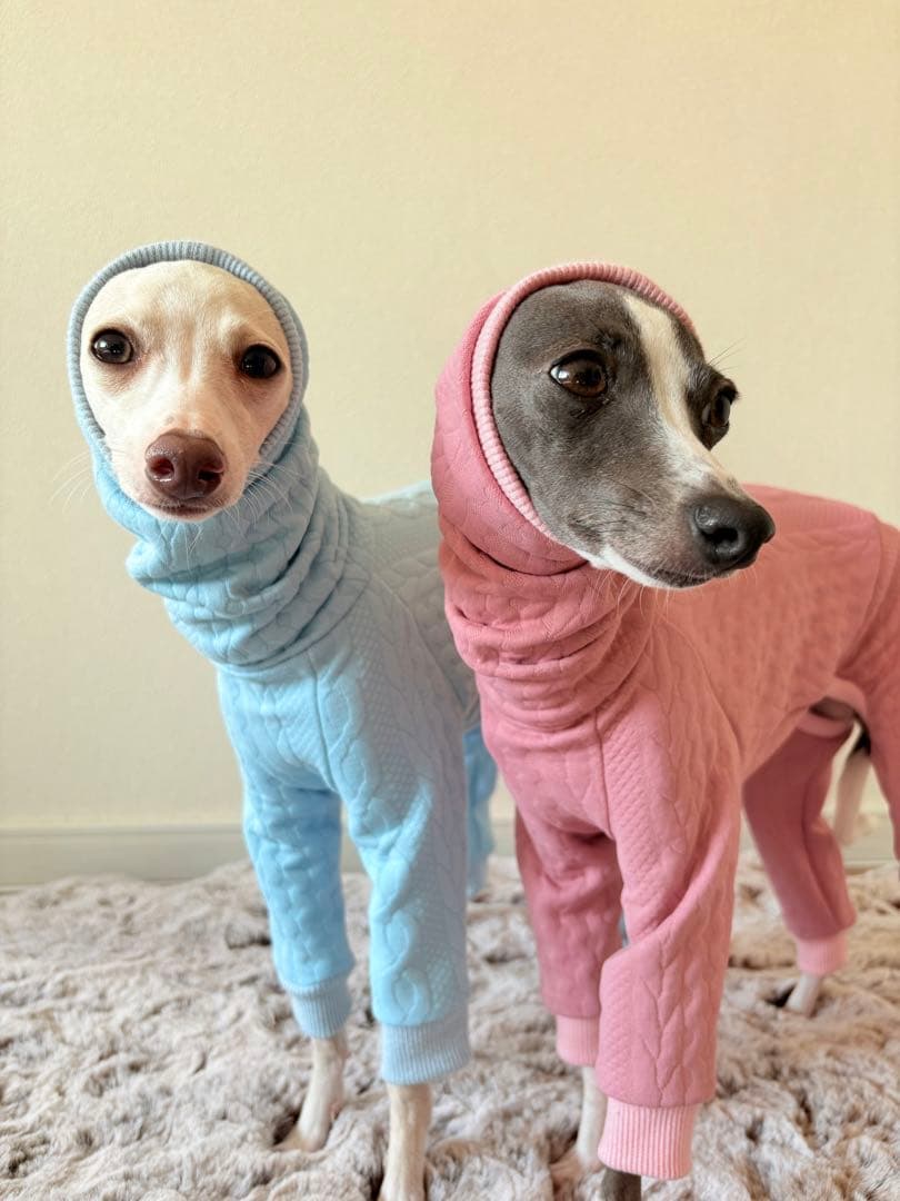 アランキルトニット　イタグレ服　ミニピン服　イタリアングレーハウンド