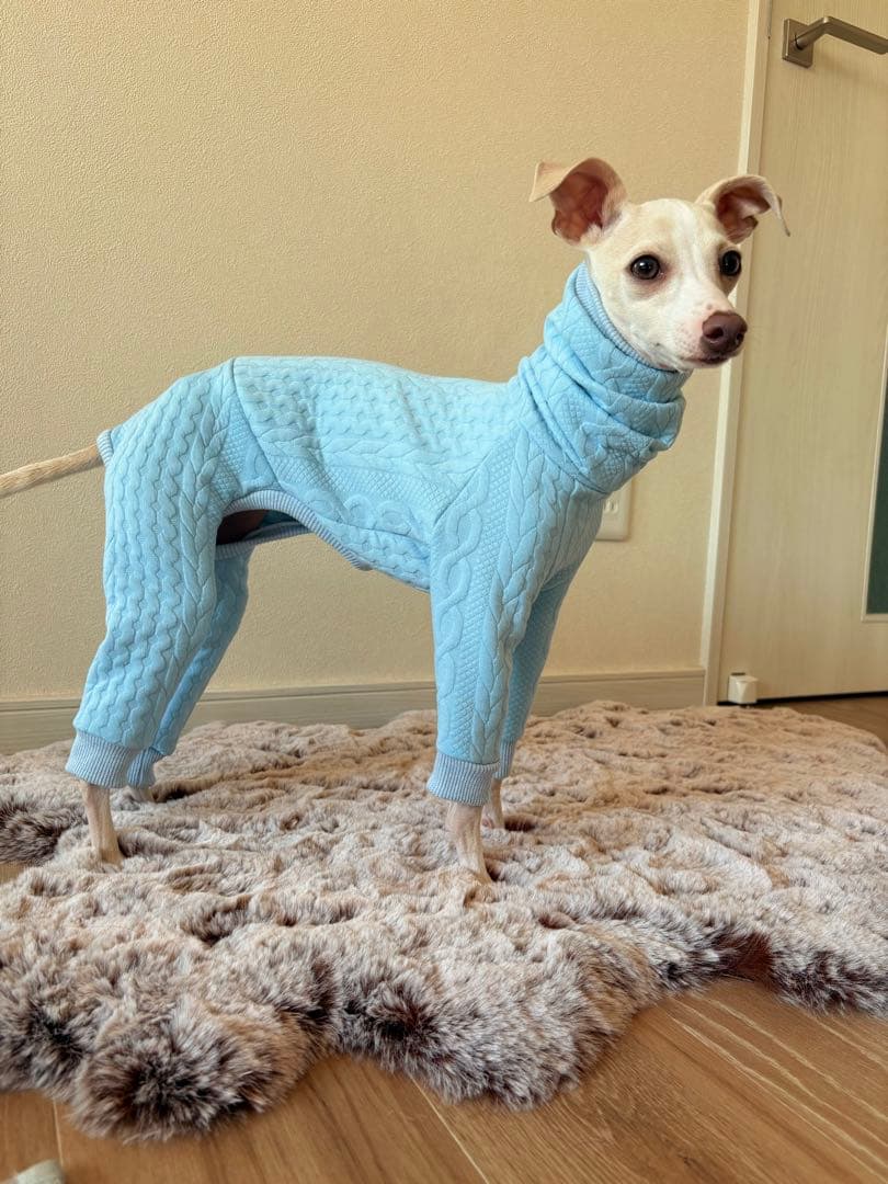 アランキルトニット　イタグレ服　ミニピン服　イタリアングレーハウンド