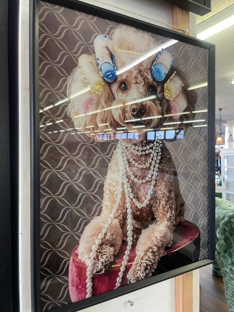 アートパネル　プードル　アート　絵画　絵　ポスター　壁掛け　額縁　キラキラ　犬