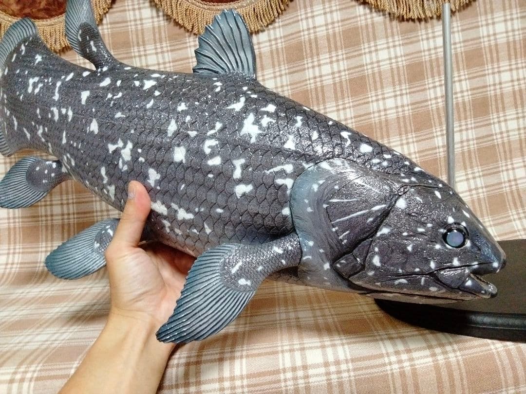 ハンドメイド　61cmシーラカンス　フィギュア　レプリカ　化石魚　古代魚　置物