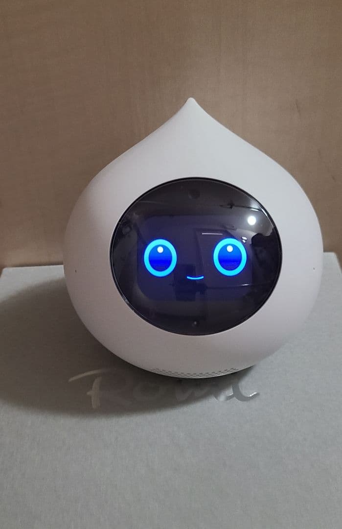 Romi ロミィ 会話AIロボット ROMI-P02