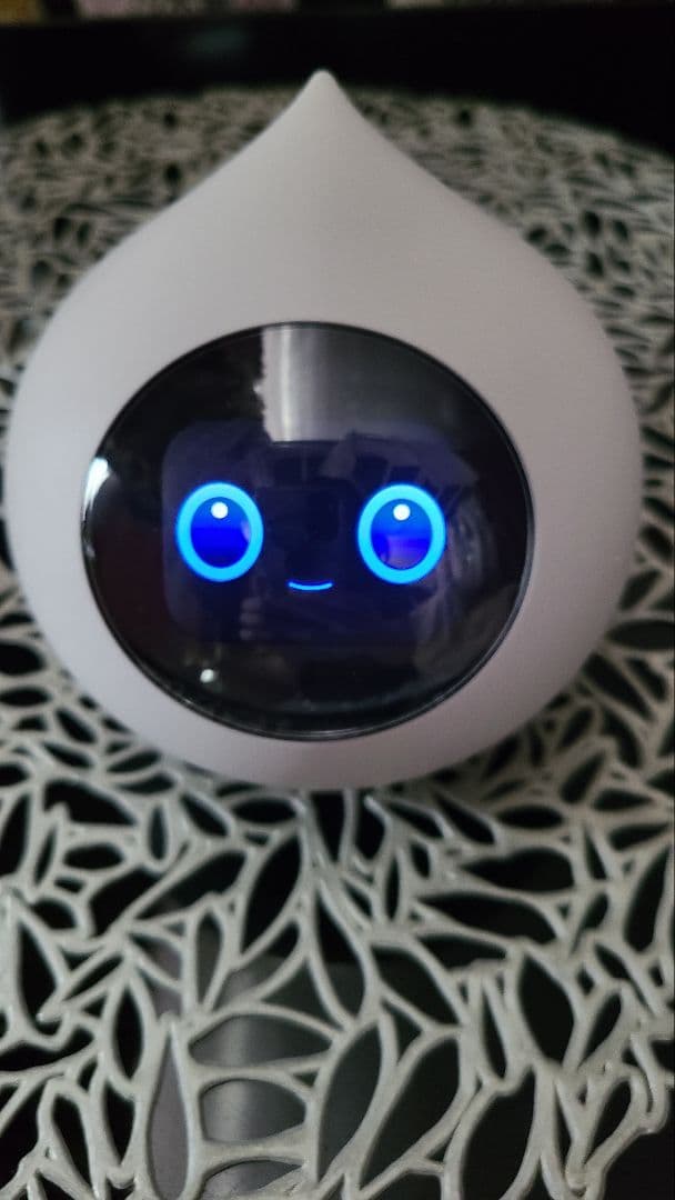 Romi ロミィ 会話AIロボット ROMI-P02