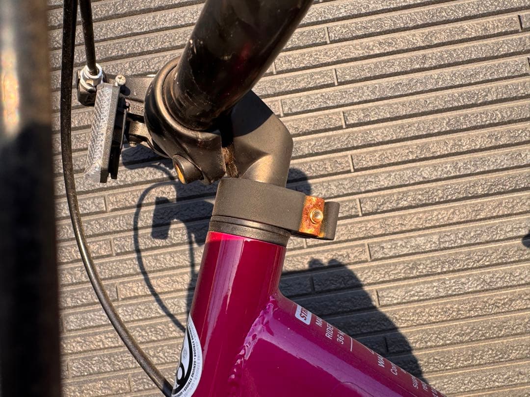 STRIDER 14インチ キッズバイク ピンク×白