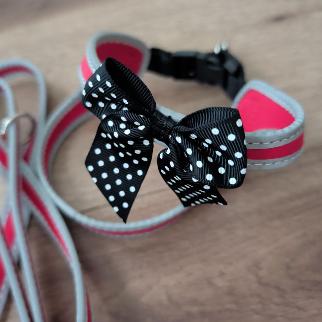 TRE PONTI トレポンティ 1.5号 イヌ 首輪 ハーネス &リード