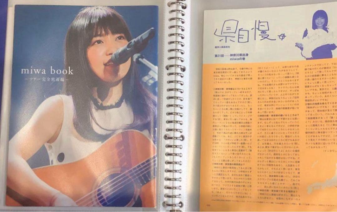 【300P以上】お値段以上　miwa 切り抜き　スタイルブック本　素人切り抜き