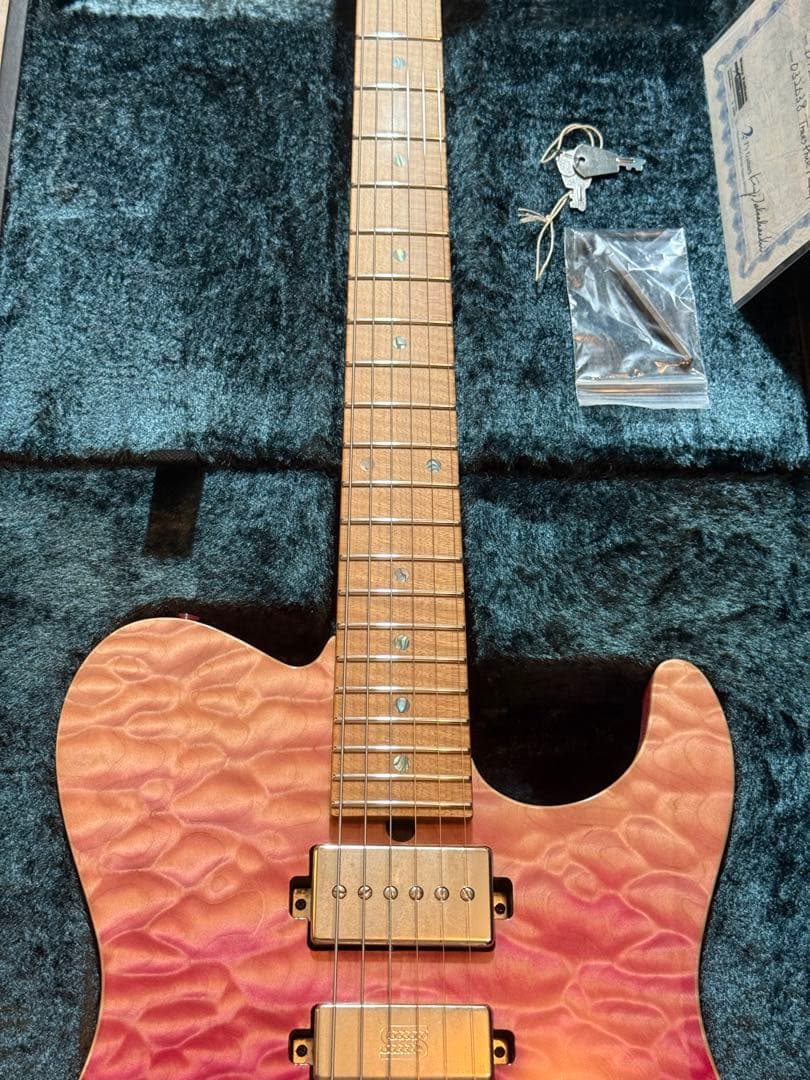 ギター T's Guitars DTL-22 custom order