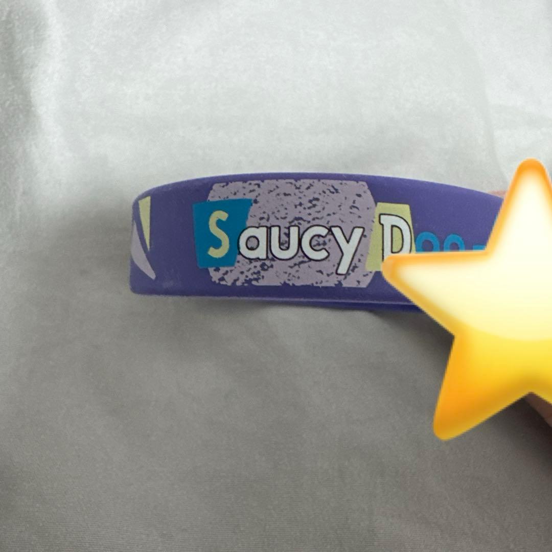 ミュージシャン SaucyDog