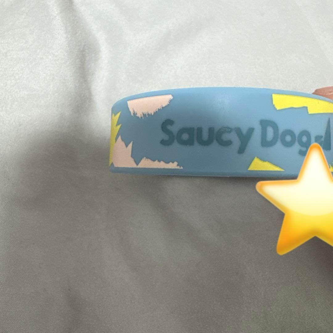 ミュージシャン SaucyDog