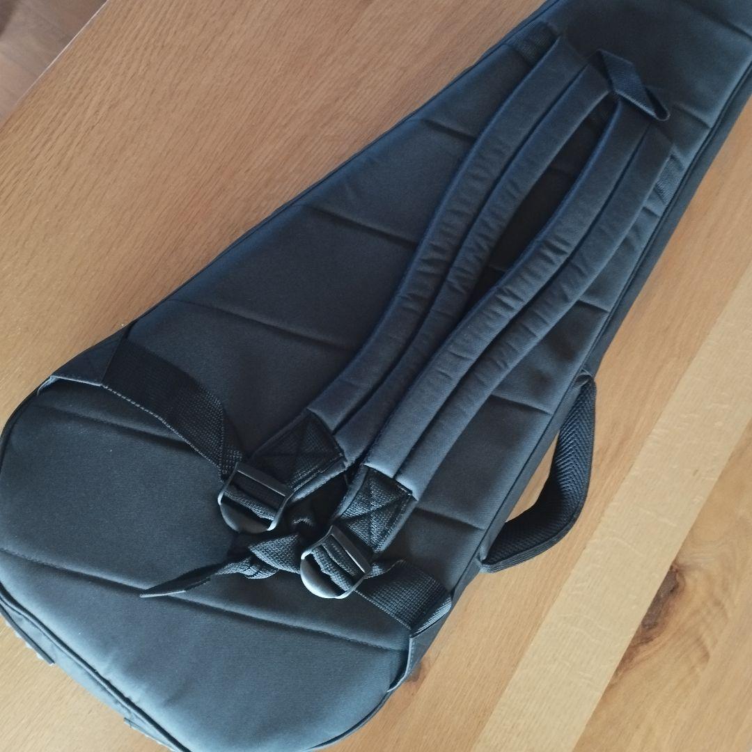 5000円相当オマケ付 新品 HEX Guitars N500 Black