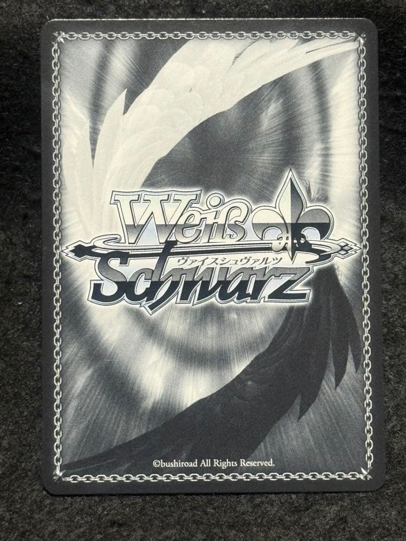 【マグネットローダー付き】ニュージャージー　SP