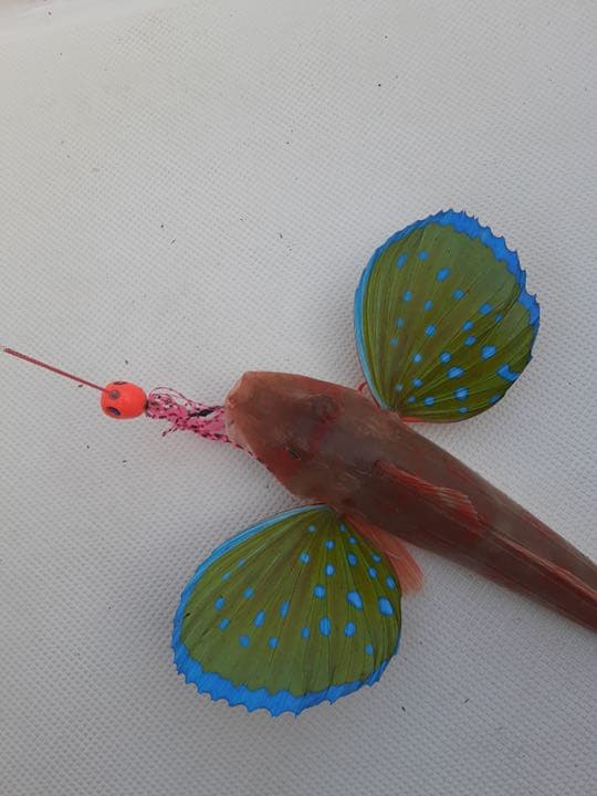 タイラバヘッド  タングステン　新色