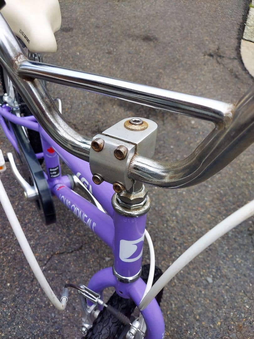 LOUIS GARNEAU ルイガノ パープル 引き取り限定