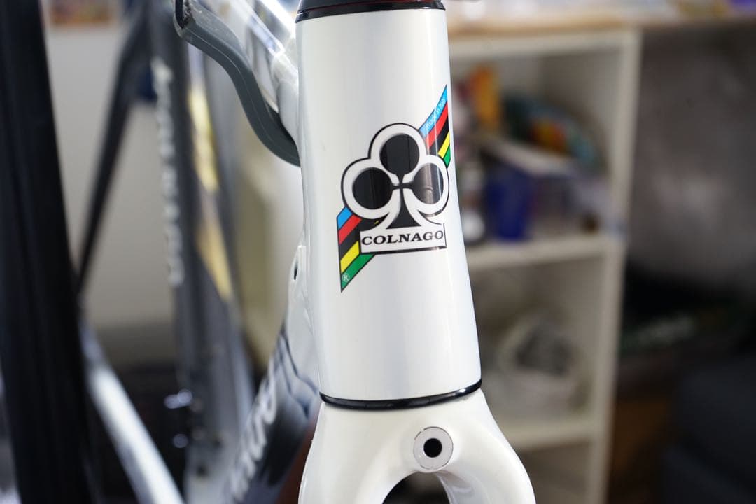 COLNAGO C60 53 サイズ フレームセット【イタリア製 / 美品】