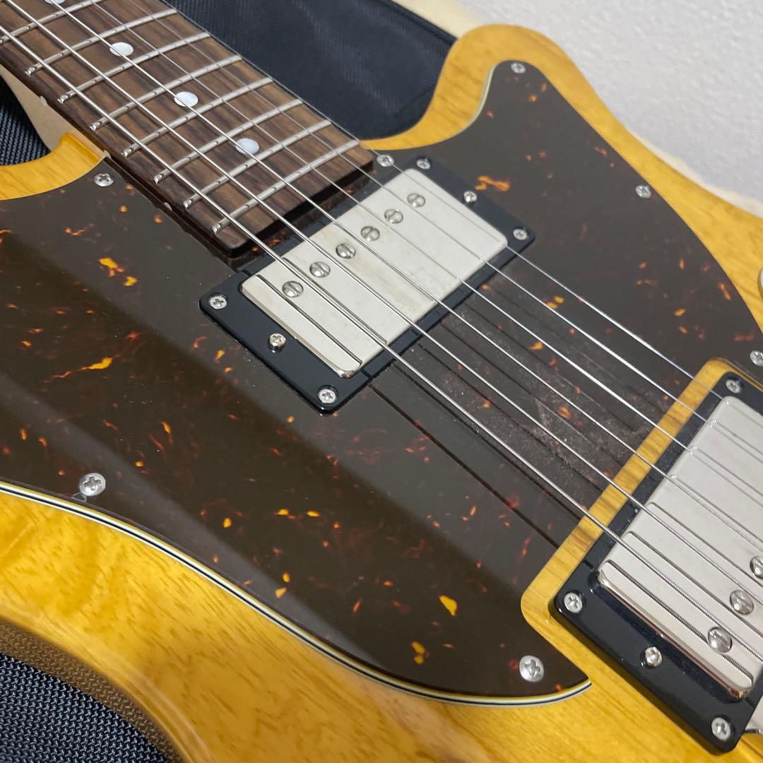 ギター FREEDOM CUSTOM GUITAR RESEARCH Shaker