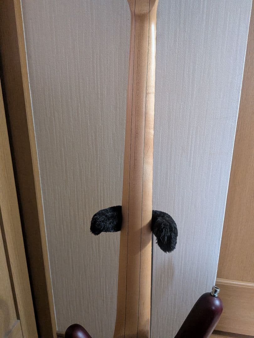 Warwick RockBass Corvette $$5弦